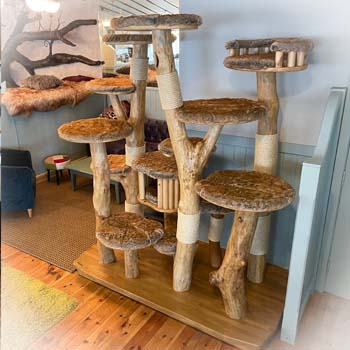 Bespoke real wood cat tree photo taken from a higher viewpoint - Designed for The Cat House Norwich - Cat Lounge and cat themed Arts Centre & Art Gallery