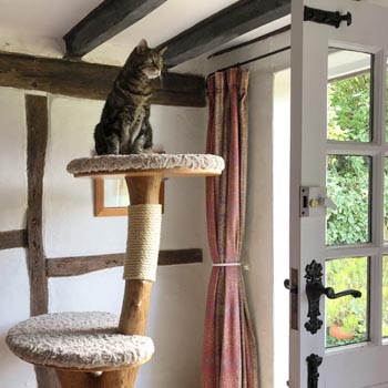 David & Debs new bespoke wooden cat tree - Photo submitted by owner