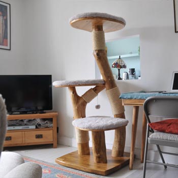 Helen and Otto's new handmade bespoke cat tree room view