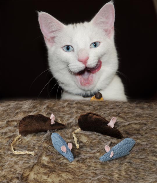 Handmade cat nip mouse