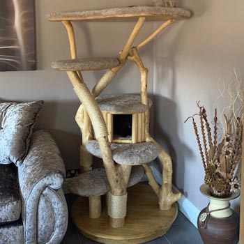 Large bespoke corner cat tree - Photo submitted by owner