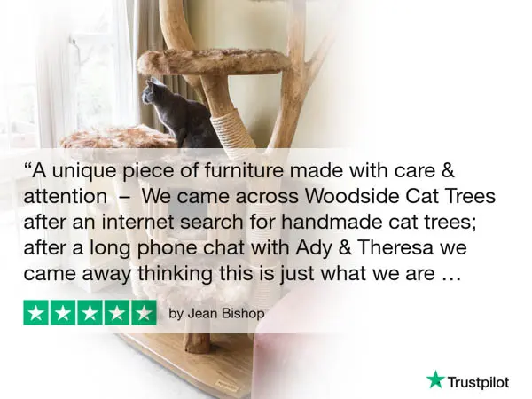 Image of a bespoke cat tree & Trustpilot review by Jean Bishop Image of a bespoke cat tree & Trustpilot review by Jean Bishop