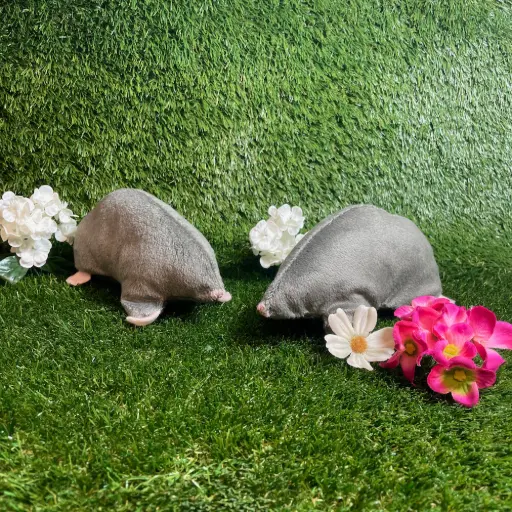 Cat nip toys and more