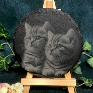 Cat Themed Laser Engraved Coasters