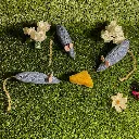 denim-catnip-mice-cheese.webp