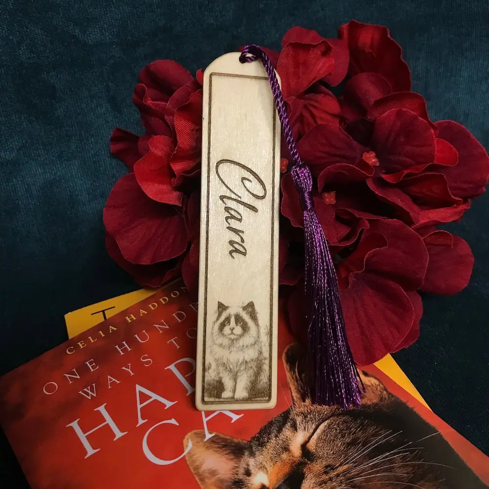 ragdoll-cat-bookmark-a.webp