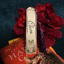 ragdoll-cat-bookmark-a.webp