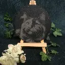 03-sketch-cat-slate-coaster-r.webp