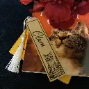 01-cat-on-books-bookamrk.webp