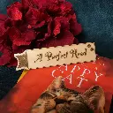 Peeking-cat-purfect-read.webp