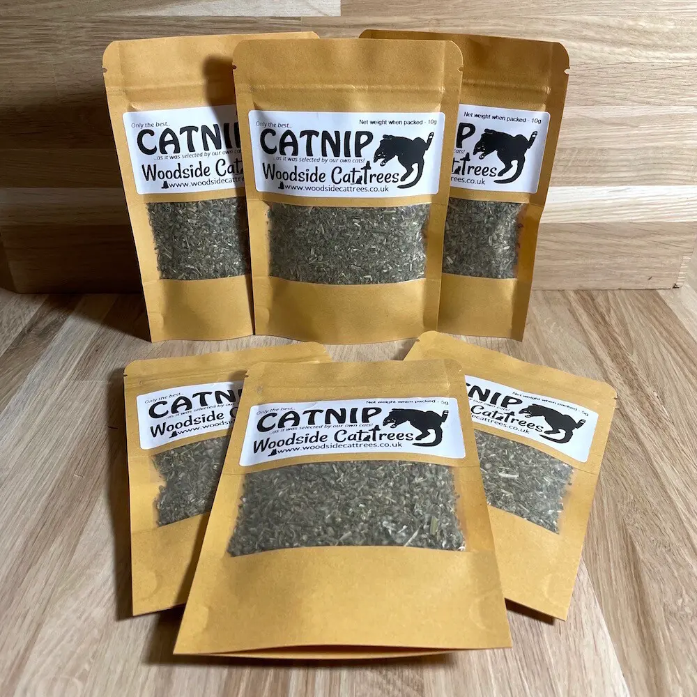 Specially Selected Catnip
