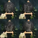 Kittens/Cat - Round Slate Coasters