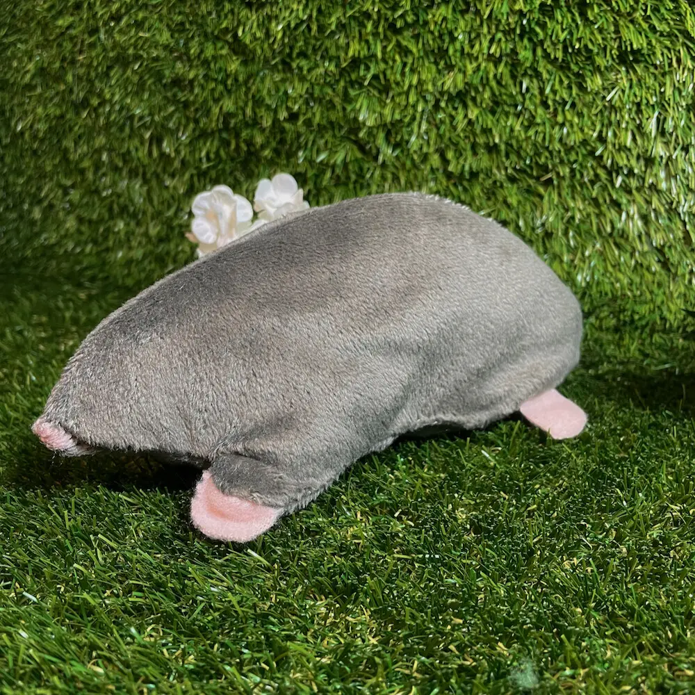 Catnip Moggie-Mole, Soft Cat Toy