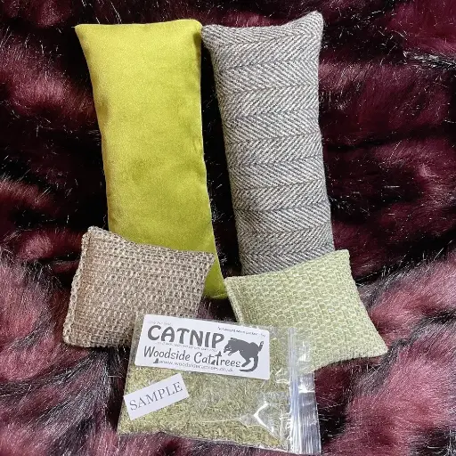 Catnip Cat Toys Pack - Gift Box 01