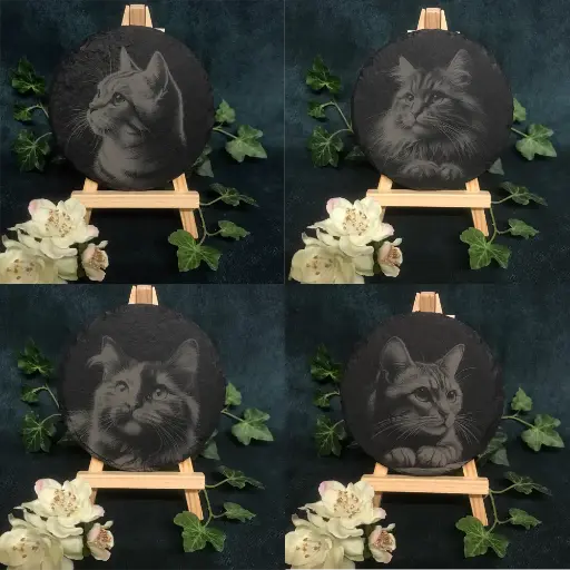 Dreamy Cats - Round Slate Coasters