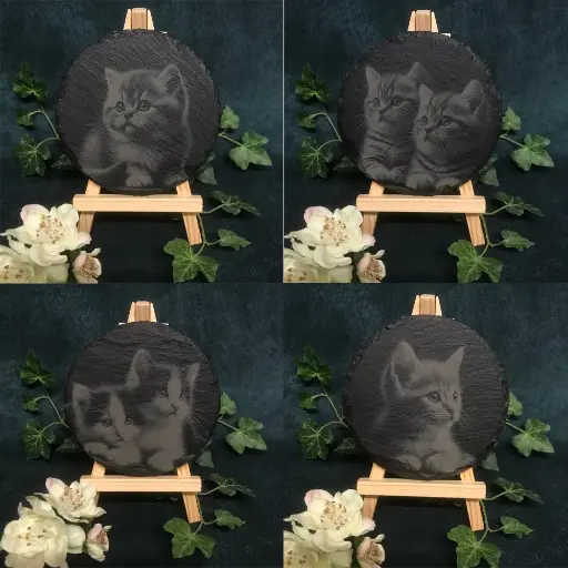 Kittens/Cat - Round Slate Coasters
